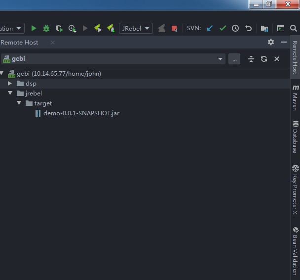 remote_host_dir_list